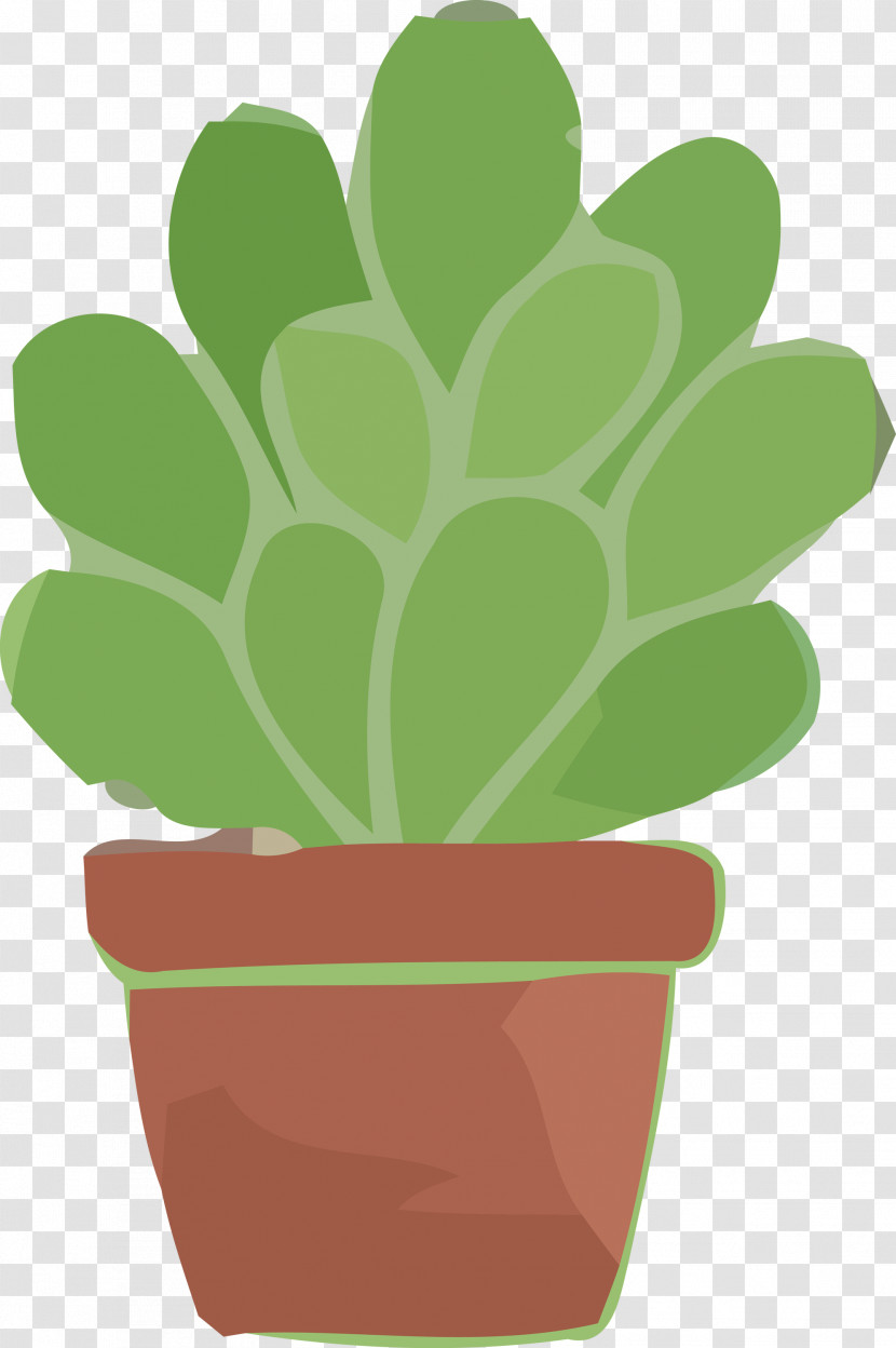 Cactus Transparent PNG