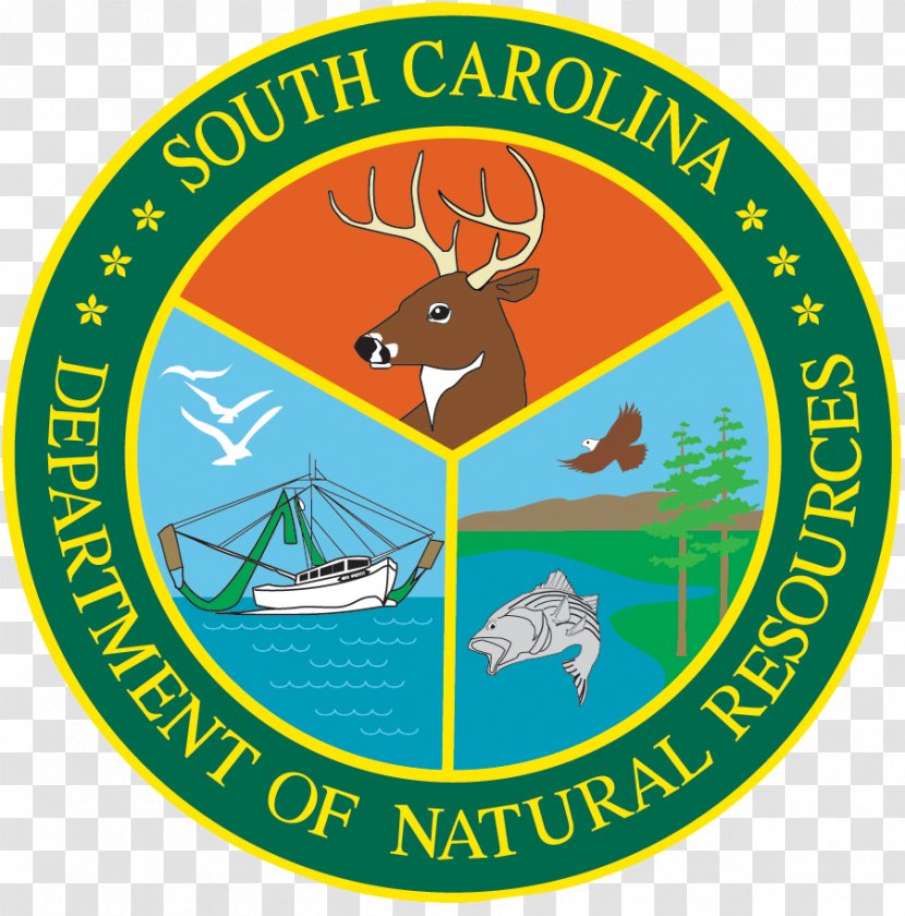 South Carolina Department Of Natural Resources Columbia Boating - Atlantic States - Advancement Insignia Transparent PNG