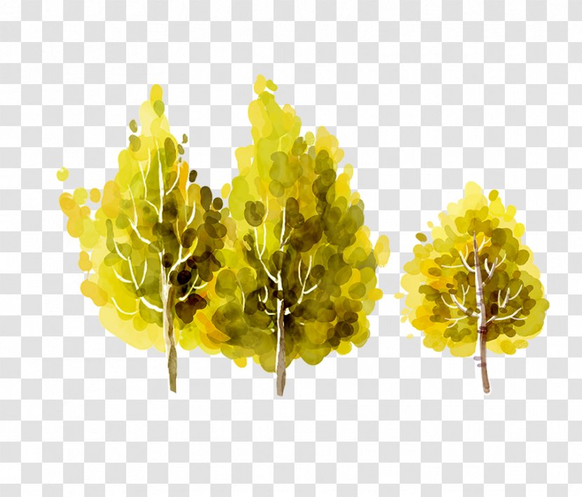 Beijing Live Television - Drawing - Painted Green Tree Transparent PNG