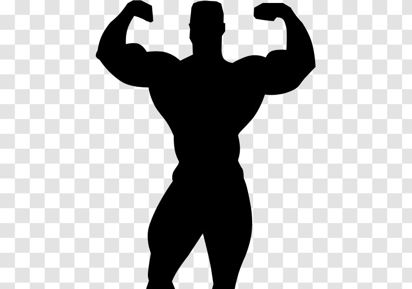 Silhouette Bodybuilding Professional Wrestling Clip Art - John Cena Transparent PNG