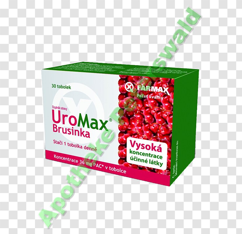 Pharmaceutical Drug Tablet Dietary Supplement Capsule Lingonberry Transparent PNG