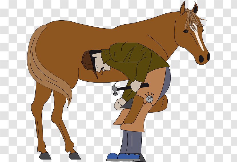 Horse Mare Farrier Clip Art Openclipart - Veterinary Medicine Transparent PNG