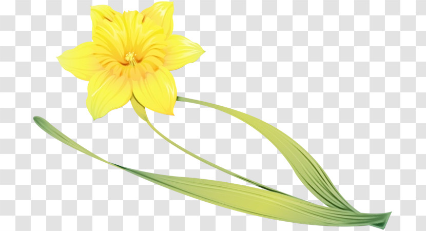 Flower Yellow Plant Petal Cut Flowers Transparent PNG