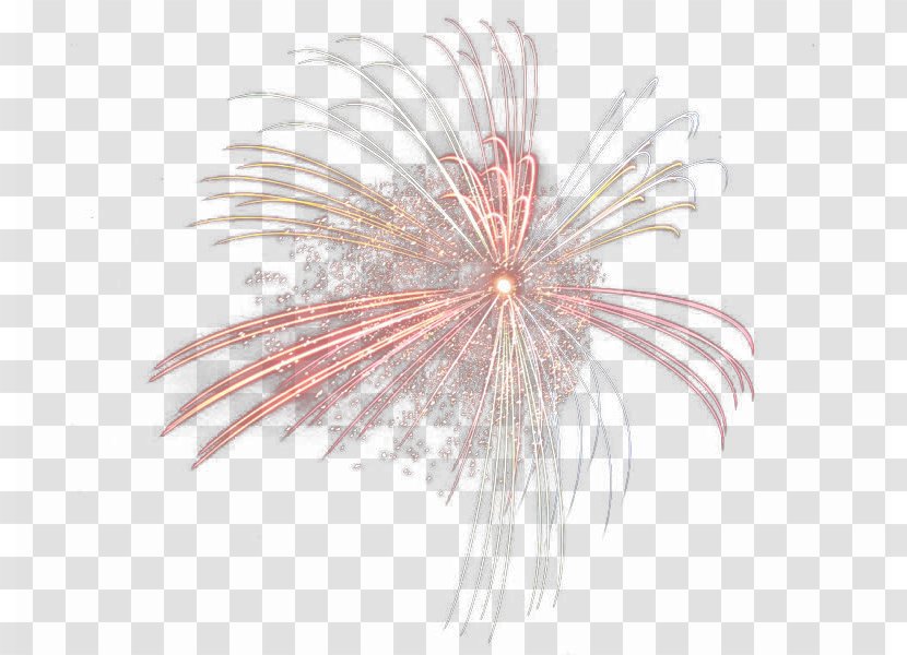 Close-up Pattern - Pink - Fireworks Wrapped Rotten Transparent PNG