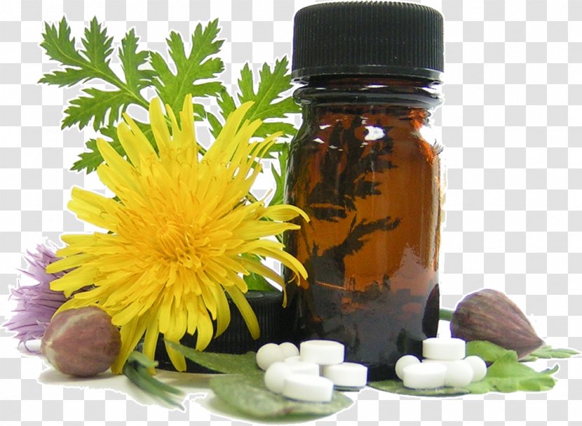 Homeopathy Alternative Health Services Medicine Essential Oil Cure - Healing Transparent PNG