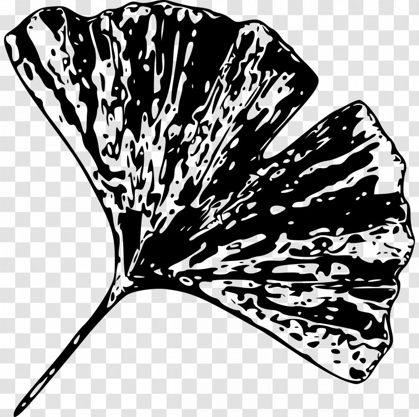 Ginkgo Biloba Leaf Tree Plant Clip Art - Pollinator - Clipart Transparent PNG