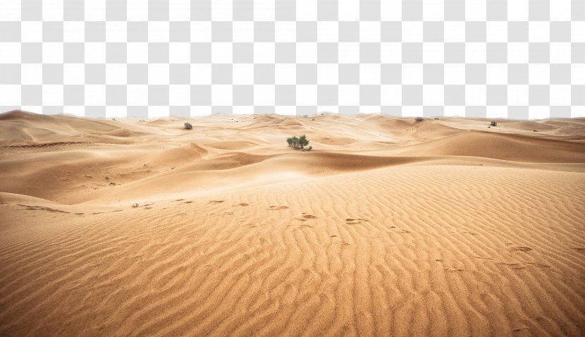 Sahara Erg Desert - Landscape Transparent PNG