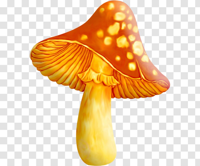 Edible Mushroom Fungus Common Yellow Morel - Psilocybin Transparent PNG