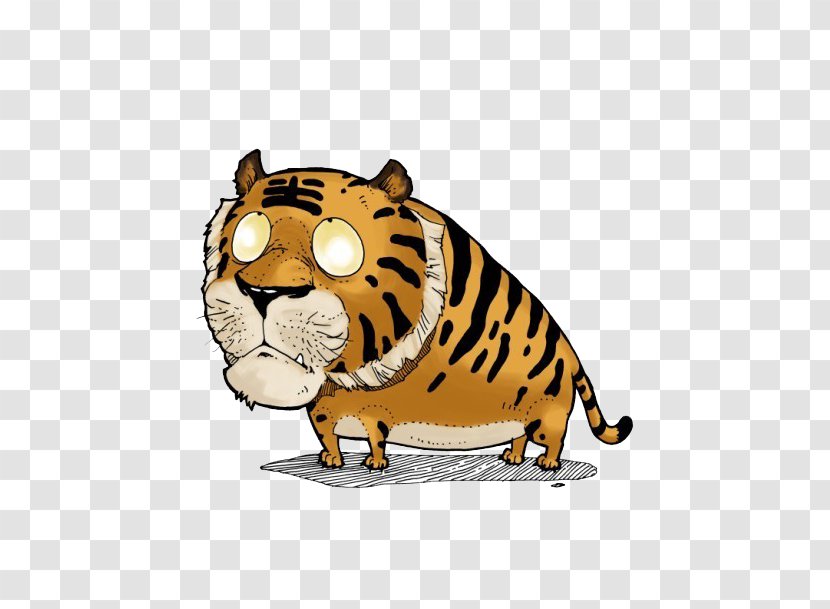Tiger Cat Chinese Zodiac Wu Xing Illustration - Like Mammal Transparent PNG