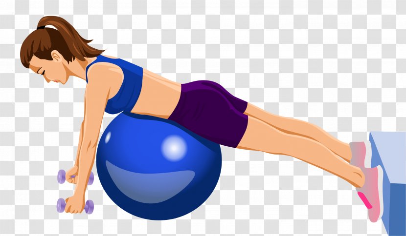 Exercise Equipment Physical Fitness Balls Arm - Sporting Goods - Fat Transparent PNG