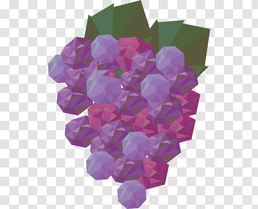 Geometry Auglis Geometric Shape - Violet - Creative Abstract Vector Grape Fruit Transparent PNG