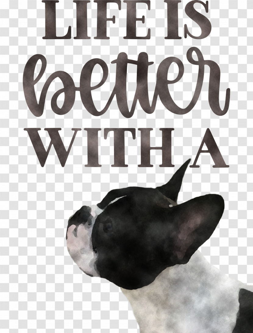 Life Better Transparent PNG