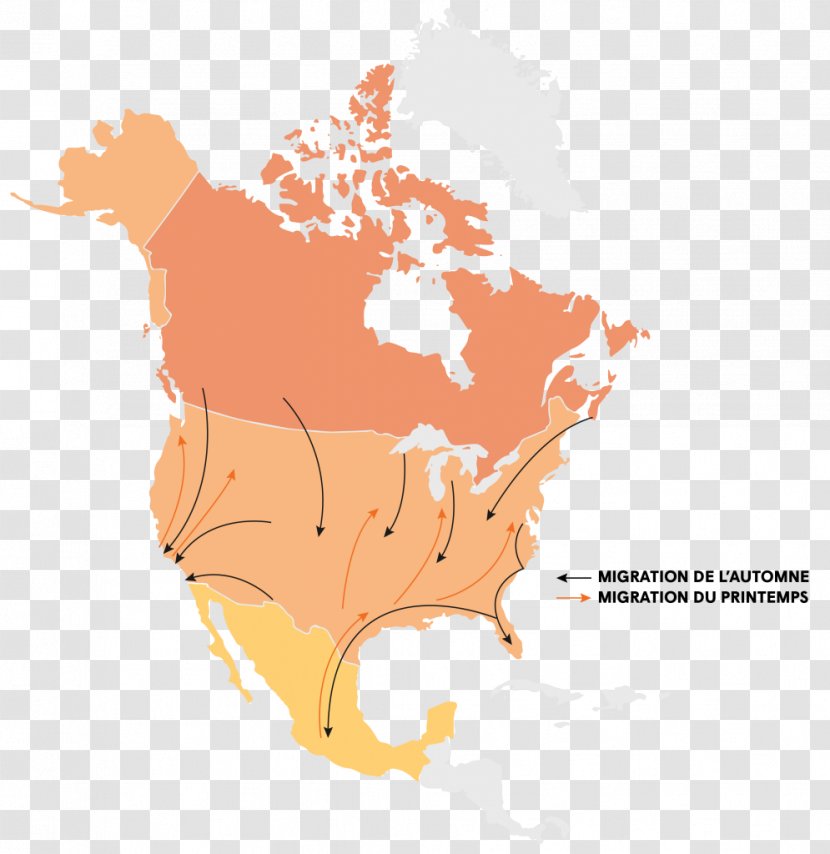 United States Vector Map Royalty-free Transparent PNG