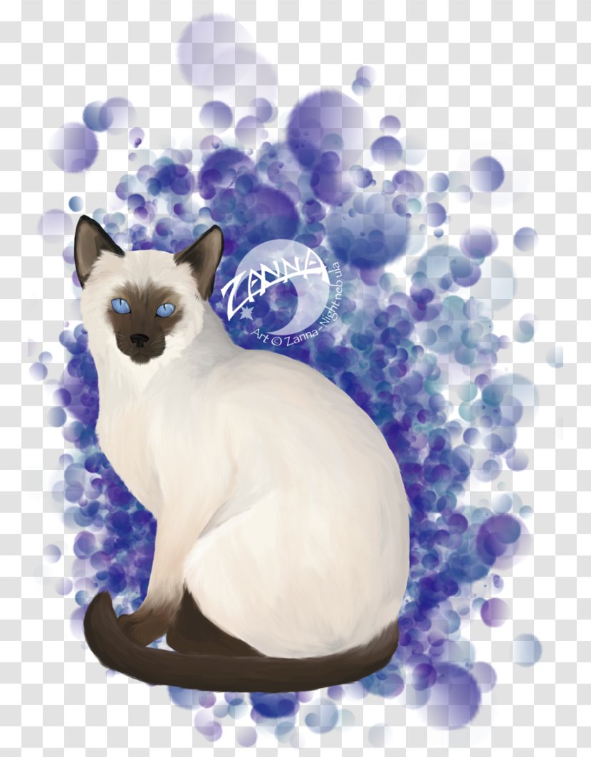 Whiskers Kitten Cat Paw Desktop Wallpaper - Mammal Transparent PNG