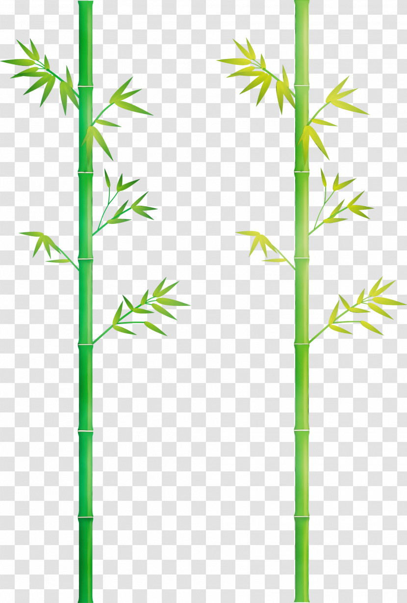 Plant Stem Plant Bamboo Grass Family American Larch Transparent PNG