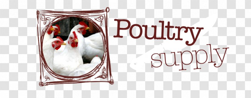 Achieving Sustainable Production Of Poultry Meat Volume 1: Safety, Quality And Sustainability - Brand Transparent PNG