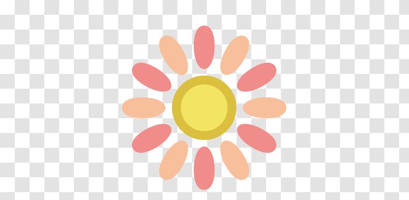 Snowflake Pattern - Islam - Sun Transparent PNG