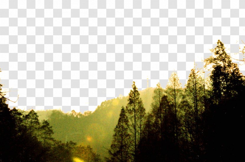 Mount Qingcheng Landscape Photography - Nature - Mountain Transparent PNG