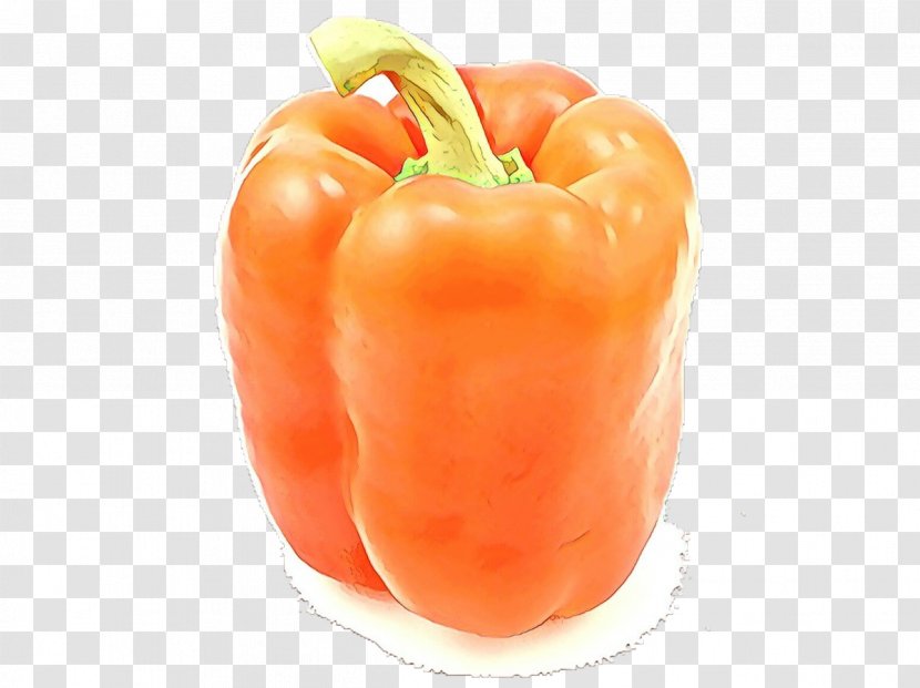 Vegetable Cartoon - Superfood Nightshade Family Transparent PNG