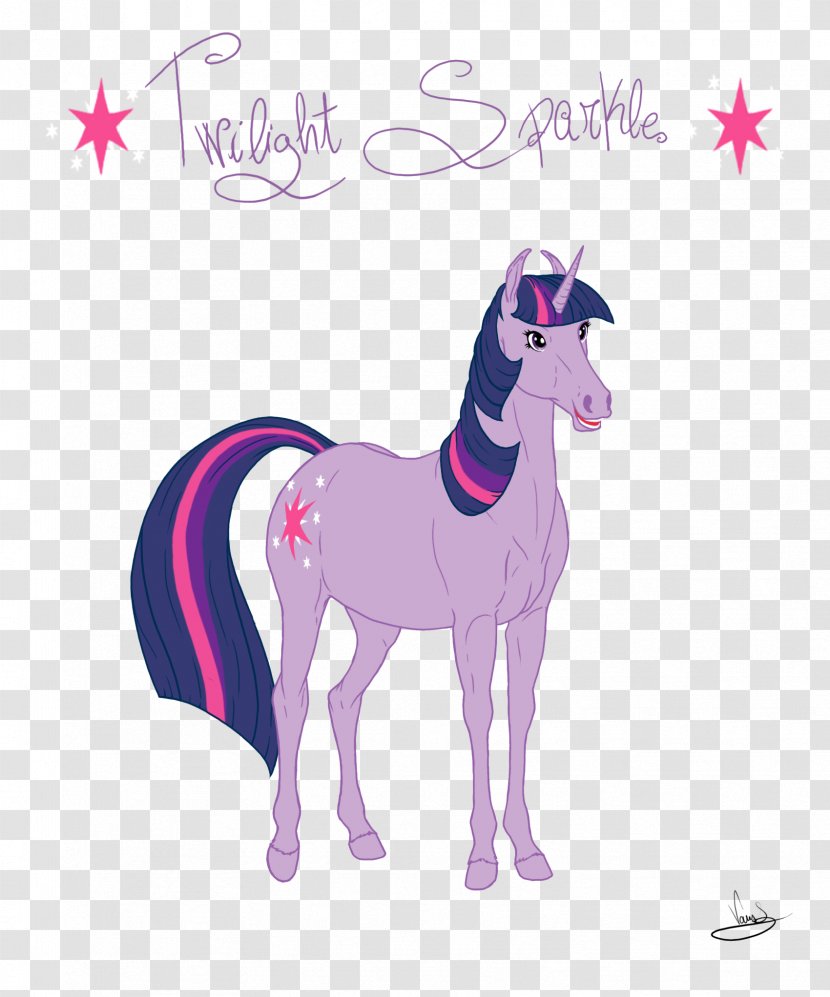 Twilight Sparkle Pony Rarity Applejack Rainbow Dash - My Little The Movie Transparent PNG