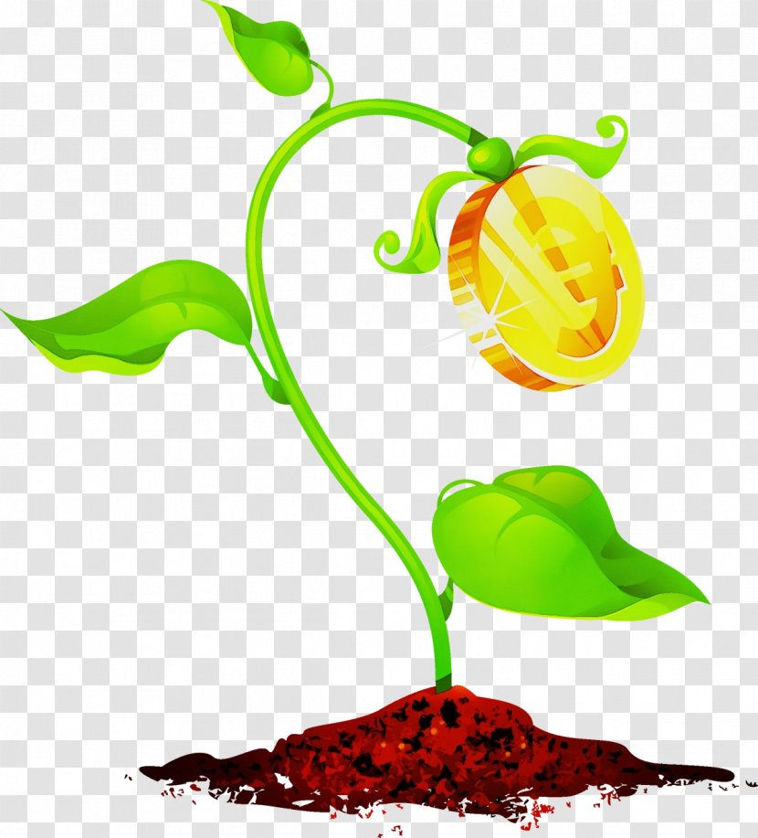 Fruit Tree - Paprika Bell Pepper Transparent PNG