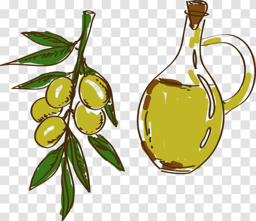 Olive Oil Cartoon - Painted Transparent PNG