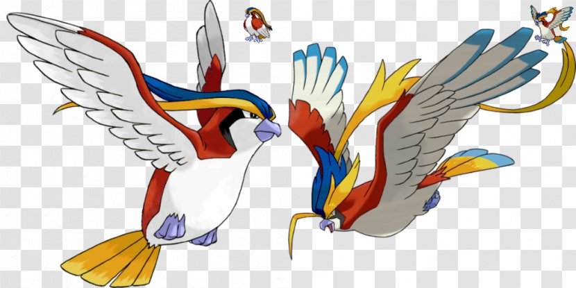 Pokémon X And Y Omega Ruby Alpha Sapphire Battle Revolution Sun Moon Pidgeot - Frame - Tree Transparent PNG