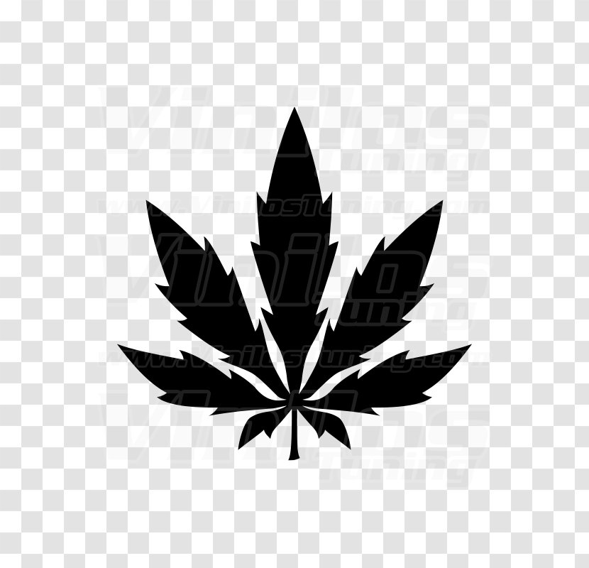 Medical Cannabis Marijuana Leaf Hemp - Joint - Dibujos De Marihuana Transparent PNG