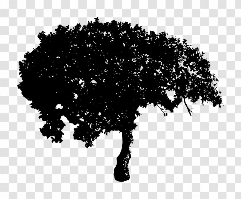 Tree Desktop Wallpaper Clip Art - Silhouette - Black Transparent PNG