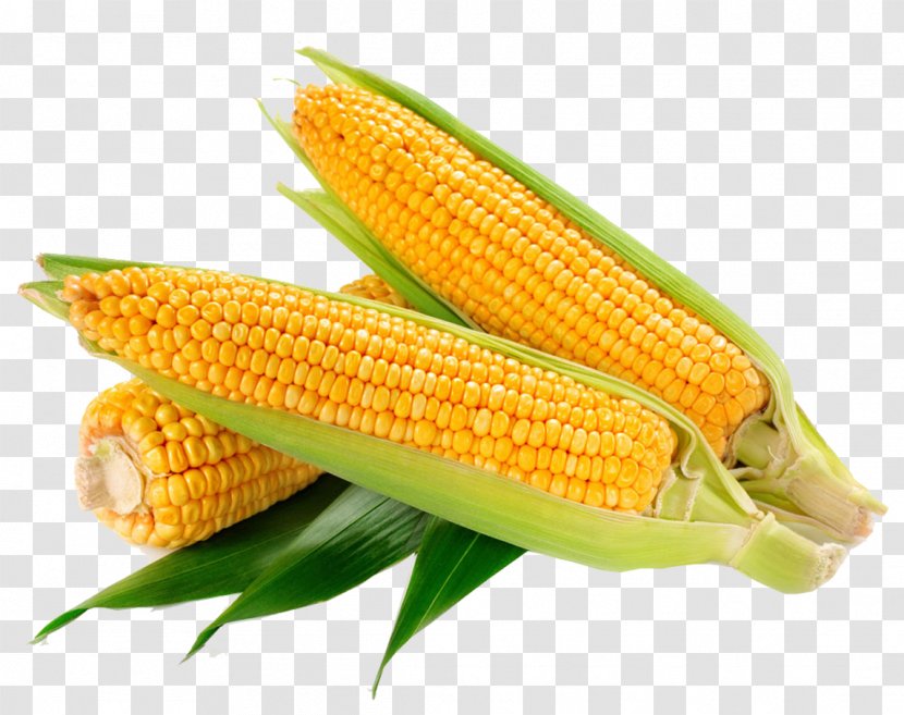 Waxy Corn On The Cob Sweet Corncob Ear - Commodity - Yellow Transparent PNG