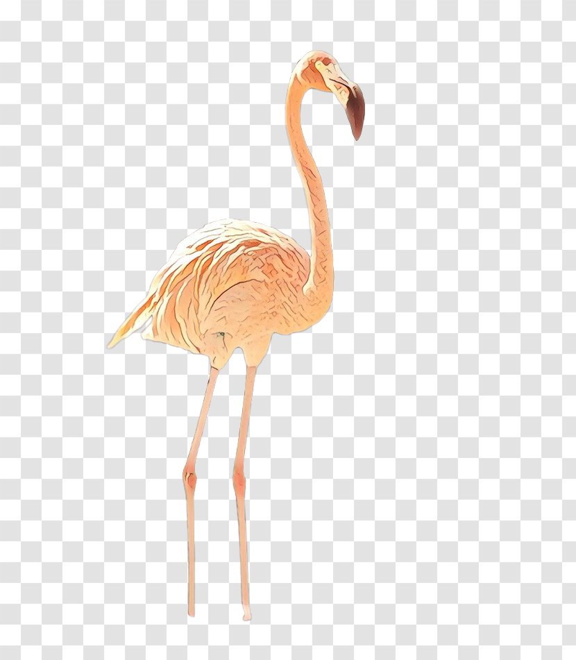 Beak Action & Toy Figures Orange S.A. Animal - Cranelike Bird - Pink Transparent PNG