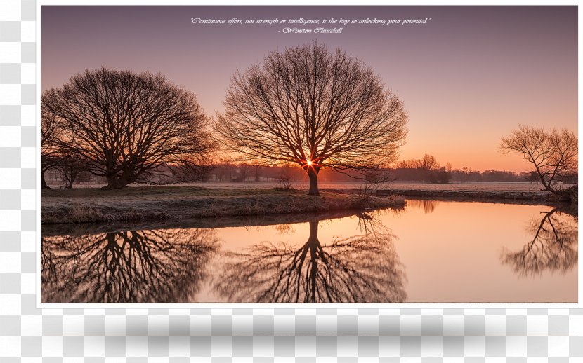 Desktop Wallpaper River Stour, Suffolk Computer Tree - Evening - Winston-churchill Transparent PNG