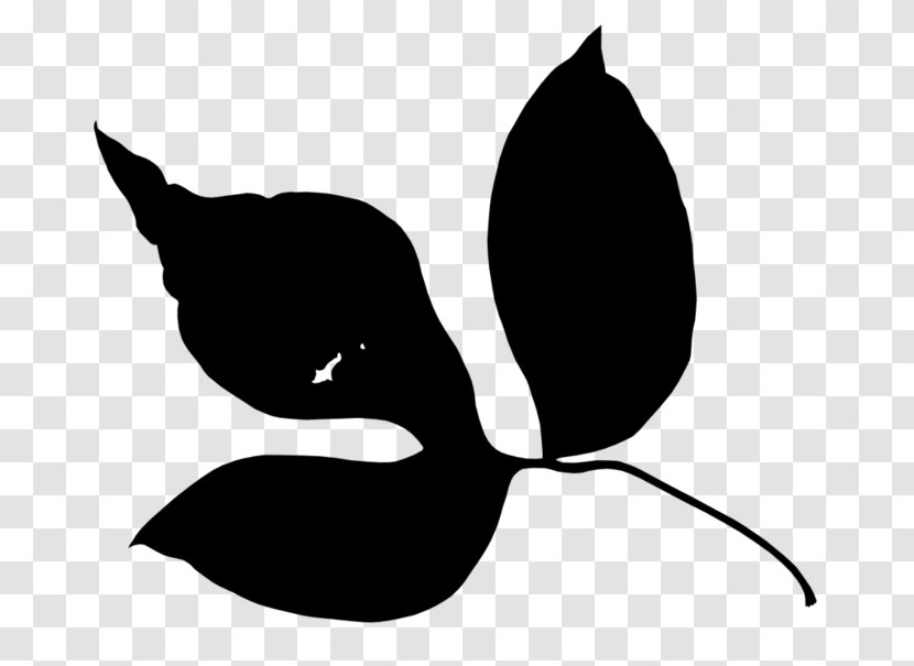Cat Black & White - Flower - M Clip Art Bird Transparent PNG