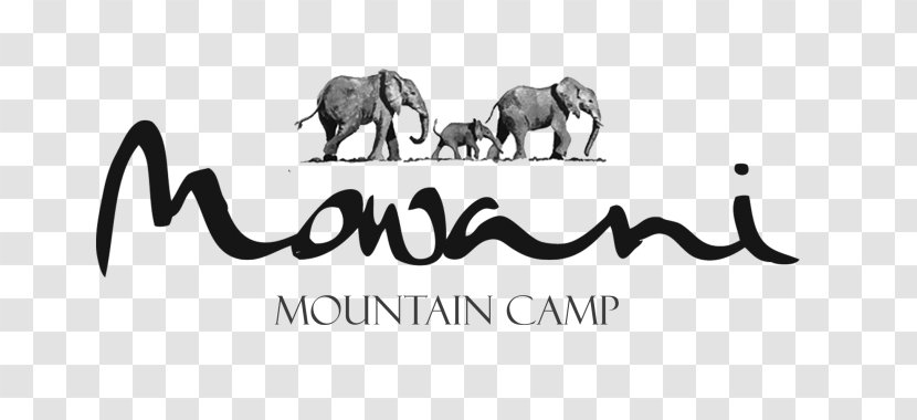 Indian Elephant African Mowani Mountain Camp Namibia Tourism Board - Text - Horizon Mountains Transparent PNG