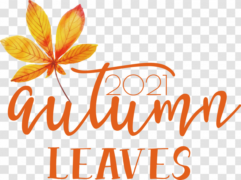 Autumn Leaves Autumn Fall Transparent PNG