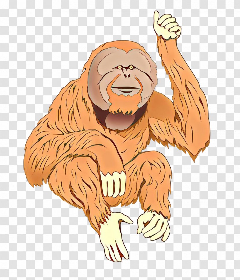 Bornean Orangutan Ape Sumatran Chimpanzee Monkey Transparent PNG