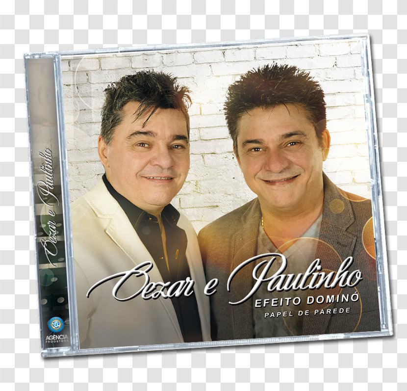 Sebastião Cezar Franco Efeito Dominó (Papel De Parede) & Paulinho Voa Livre - Tree Transparent PNG