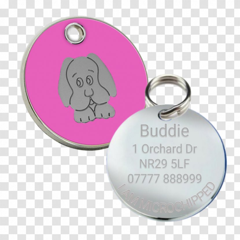 Key Chains Charms & Pendants Body Jewellery Silver Transparent PNG
