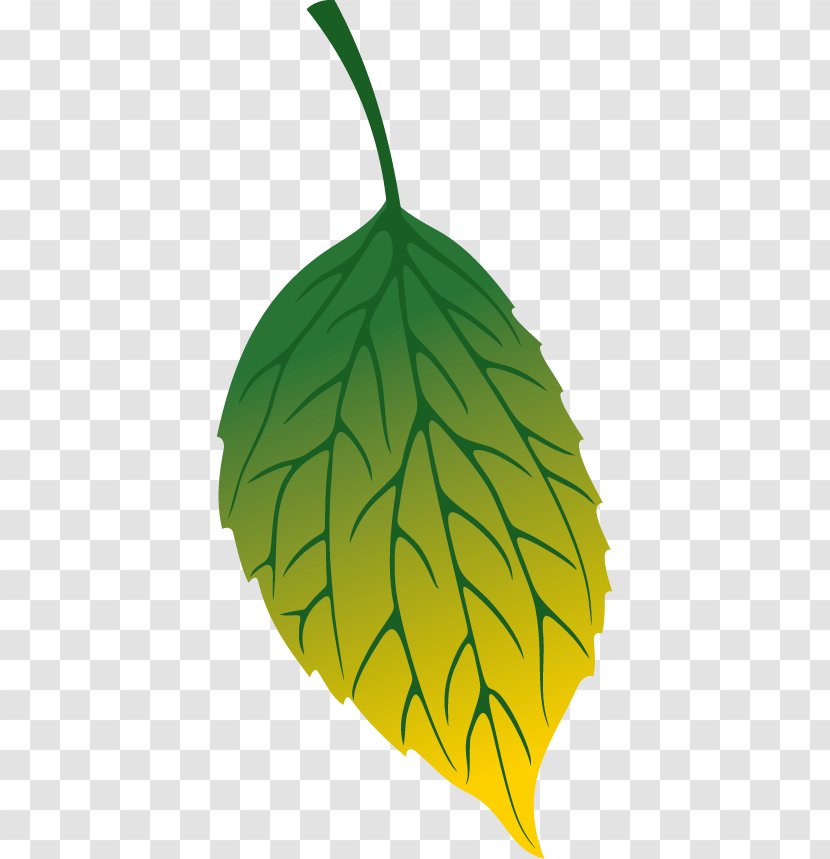 Autumn Leaf Color Defoliacixf3 - Plant Stem - Leaves Decoration Transparent PNG