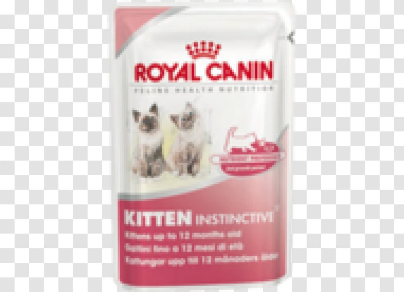 Kitten Cat Food Maine Coon Dog Royal Canin - Snout Transparent PNG