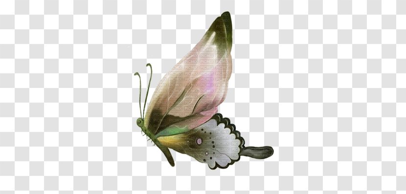 Butterfly Painting Clip Art Transparent PNG