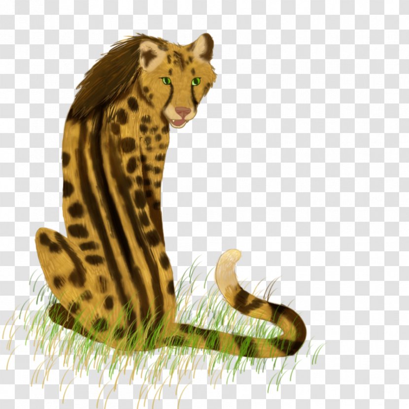 King Cheetah Cat Leopard Mammal - Terrestrial Animal Transparent PNG