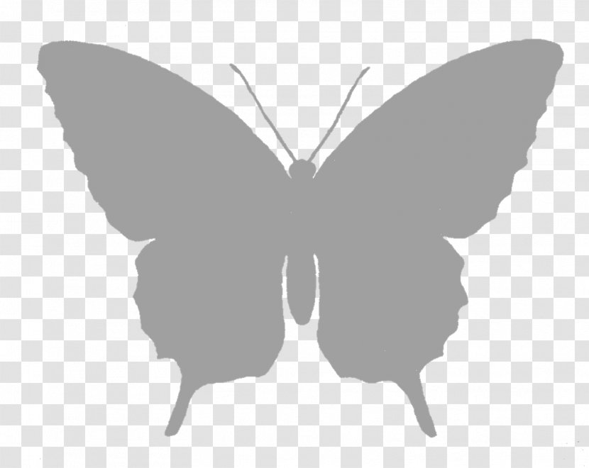 Butterfly Silhouette Black And White Clip Art - Gray Transparent PNG