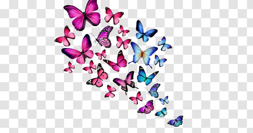 Desktop Wallpaper Butterfly Color Clip Art - Watercolor Transparent PNG