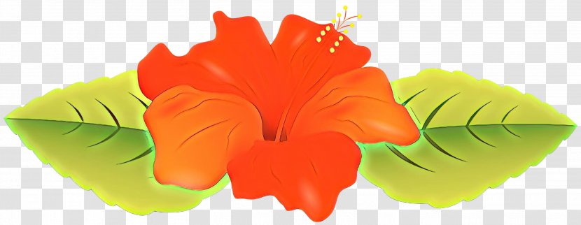 Drawing Of Family - Impatiens - Mallow Transparent PNG