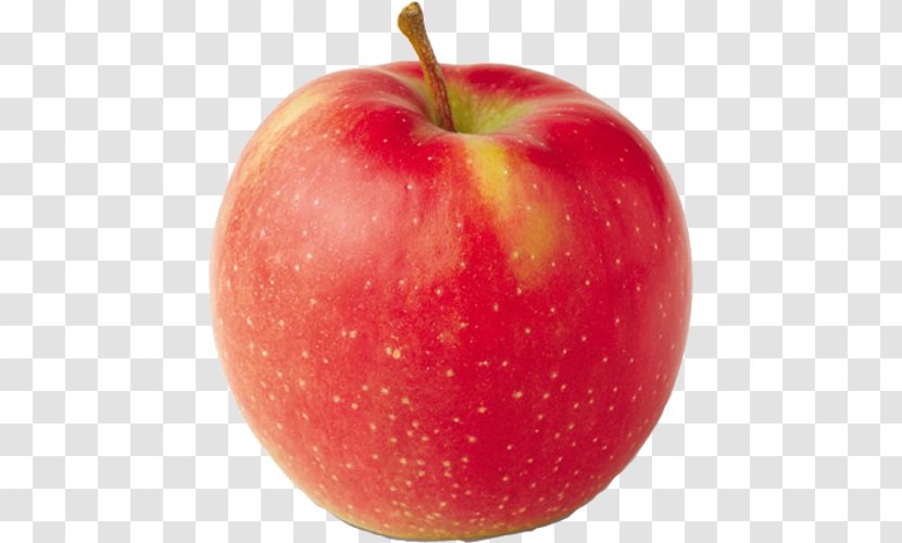 Jonagold Apple Orchard Cortland Crisp - Mcintosh - Michigan Cherries Varieties Transparent PNG