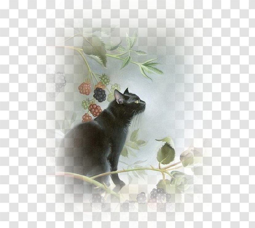 Black Cat Kitten Le Chat Noir Pet Transparent PNG