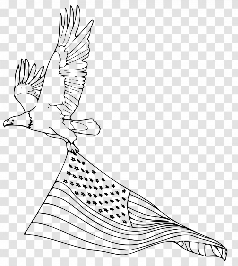 Bald Eagle Coloring Book Golden Drawing - Line Art Transparent PNG