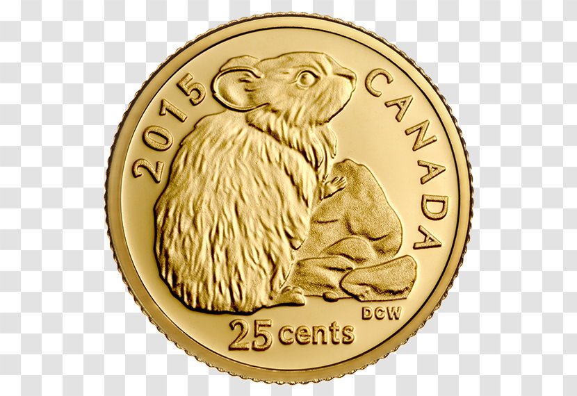 Gold Coin Canada Sovereign Transparent PNG