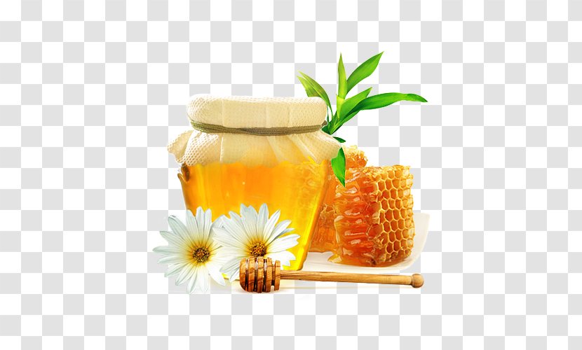 Honey Bee Nectar - Fennel Flower - Pot Transparent PNG